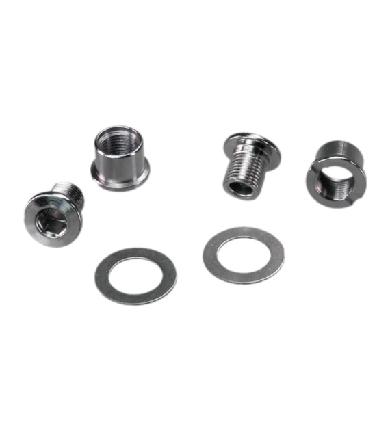 Śruby z podkładkami ROHLOFF BOLT AND WASHER SET - TORQUE ARM (NEW)